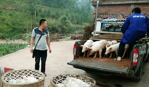 yh0612cc����(�й�)���޹�˾