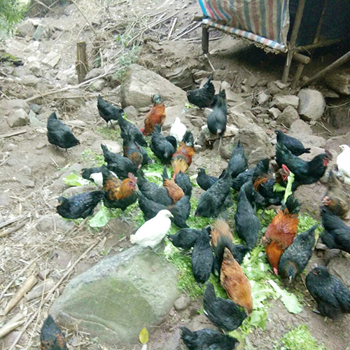 yh0612cc����(�й�)���޹�˾