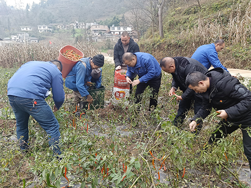 yh0612cc����(�й�)���޹�˾