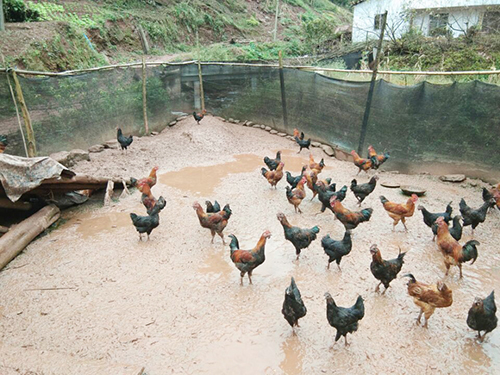 yh0612cc����(�й�)���޹�˾